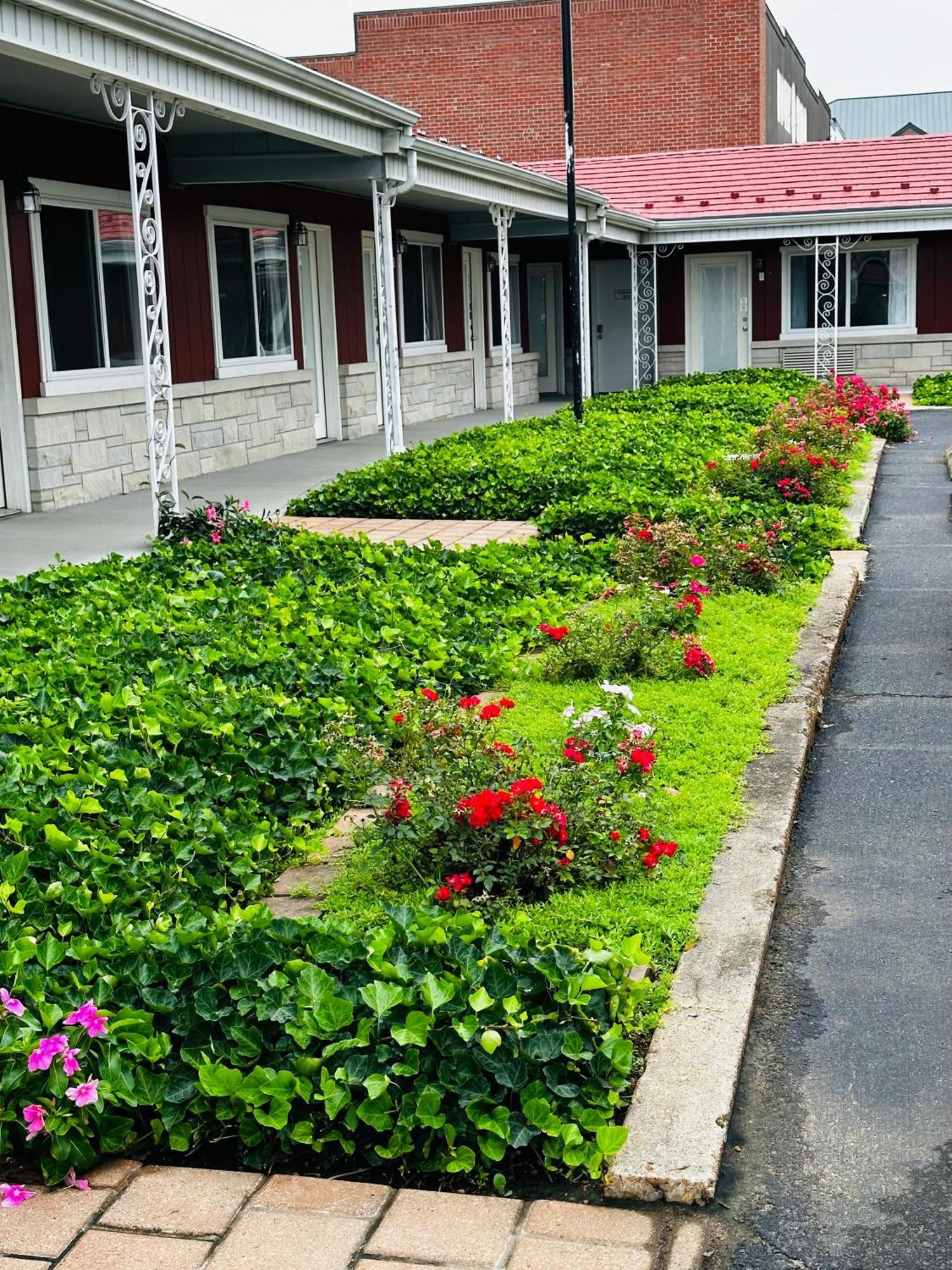 Murray Inn And Art Gallery מראה חיצוני תמונה